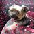 Lindsay Reeves's profile image