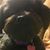 Rhyna Ramsey's profile image