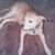 Kevin Allen's profile image