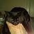 Tasha McKinney's profile image