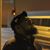 Oswaldo Pacheco's profile image