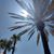 Sue Kinnaird's profile image