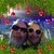 Michael Nuss's profile image