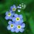 Kat Shortlidge's profile image