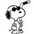 Tim Durnan's profile image