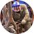 David Stanley's profile image