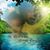 Doreen Torrence's profile image