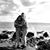 Amber Y Nahum Lopez's profile image