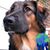 Alfonsina Merodio's profile image