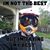 Sicnarf Bim Oniuqa's profile image