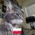 Barbara Bogdal Runkle's profile image