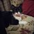 Shari Gamba's profile image
