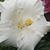 Marcia Wilcher's profile image