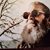 Mike Wingfield's profile image