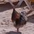 Libbie Pfefferle Trott's profile image