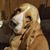 Barry Wilkinson's profile image