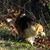 Mary Thompson Calhoun's profile image