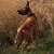 Susan Sieck's profile image