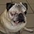 Marvin Jay Philliber's profile image