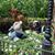 Pam Nease's profile image