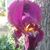 Deb Hall Hougland's profile image
