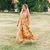 Krissy Downing-Burch's profile image