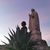 Susana Jimenez's profile image