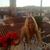 Annamarie Dunn's profile image