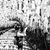 Chutima L Julsiriwattanawong's profile image