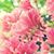 Kimberly Dye Aukerman's profile image