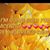 Dawn Scott Burgett's profile image