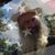 Dave Grime's profile image