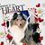 Michelle Scheffler's profile image