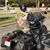 Jay Peters's profile image