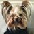 Sofie Hernandez's profile image