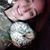 Amber Cormany's profile image