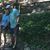 Linda Graham Dantin's profile image