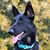 Kimberly Napier's profile image
