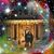 Letty N Steve Sanchez's profile image