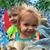Luigina Dube's profile image