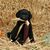 Jacqueline Meggison's profile image