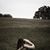 Richard Tallent's profile image
