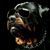 Carlos Escobar's profile image
