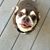 Penny Blue-Case's profile image