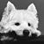 Debbie McGann's profile image
