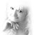 Ines Barwisch's profile image