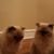 Jim Goggin's profile image