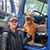 Aaron Lee Mealey's profile image