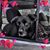 Renee Whipple's profile image