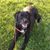 Theresa Rosenbaum-Moe's profile image